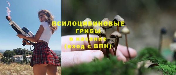 spice Алексин
