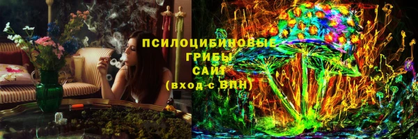 spice Алексин