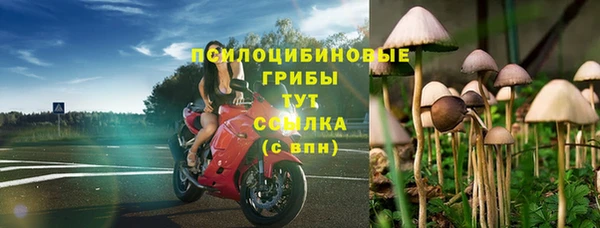 spice Алексин