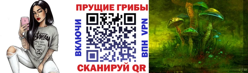 дарк нет клад  Мыски  Галлюциногенные грибы Cubensis  MEGA как зайти 