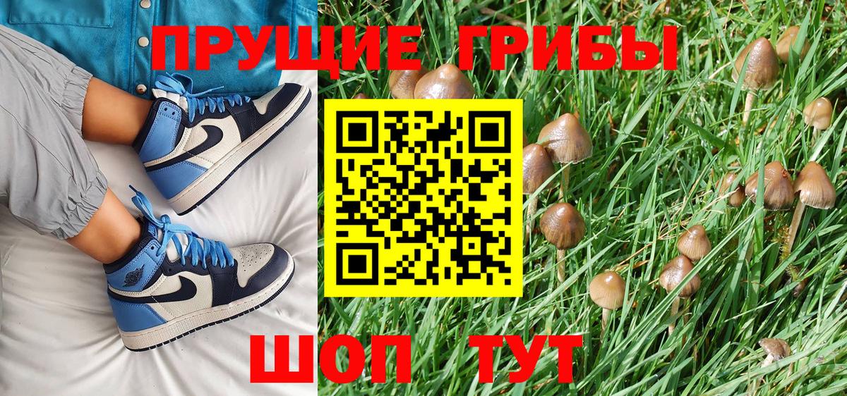 купить  сайты  Вход с VPN  Мыски  Галлюциногенные грибы MAGIC MUSHROOMS 