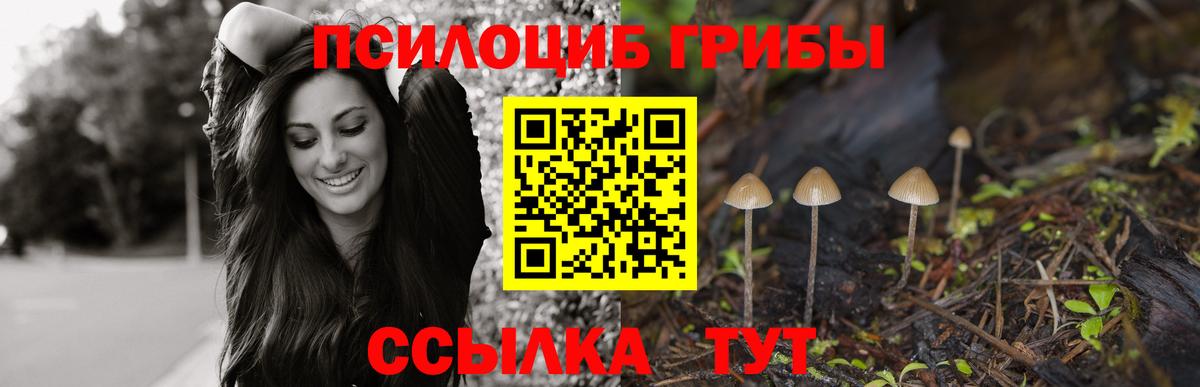Псилоцибиновые грибы Мыски