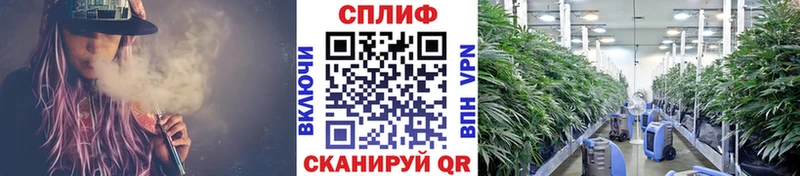 Конопля OG Kush Мыски